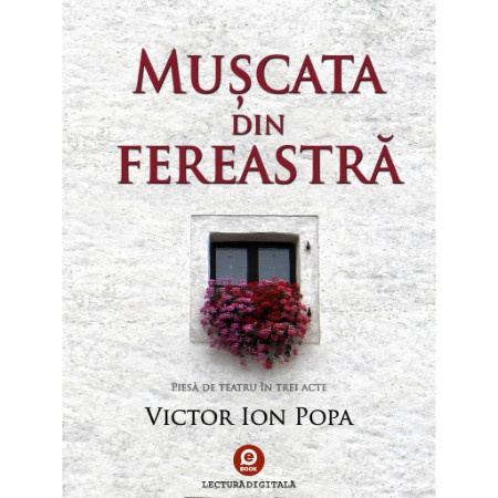 cop_muscata_fereastra