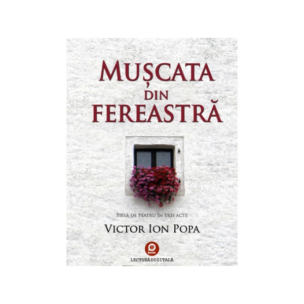 cop_muscata_fereastra